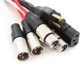 Rapco Horizon EC2-100 Siamese Twin Audio / Power Cable with Edison Plug to IEC 100Ft