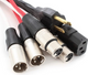 Rapco Horizon EC2-75 Siamese Twin Audio Power Cable With Edison Plug to IEC 75Feet