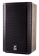 Yorkville NX12P  12" Powered Loudspeaker 4850 Watts With DSP and Bluetooth Wireless Streaming