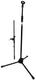 T-MIC01 fully extended stand with boom and A25D