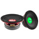 DS18 PRO-X6.4RGBCAP Dual Speakers