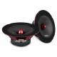 DS18 PRO-ZXI6.4BM dual audio speakers