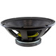 Blastking PROFILE21 woofer front view