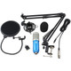 Blastking IP-MIC KIT-BLU Unidirectional / Cardioid Condenser 3 pin XLR Microphone With Accessories