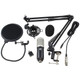 Blastking IP-MIC KIT-BLK Unidirectional / Cardioid 3 pin XLR Microphone with Accessories, Freq: 20Hz-20kHz