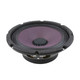 Blastking BLAST208 8" 300W Midbass, Midrange, Woofer, Bass Guitar Loudspeaker Pressed steel basket 8-Ohms
