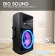 Gemini GSP-L2200PK speaker with 15-inch woofer.