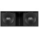RCF SUB 9029 dual drivers view