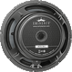 Eminence Delta 10A-2 speaker back view