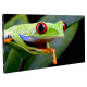 ADJ WMS2 angled video panel