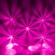 Focus Spot 7Z pink multi-beam array