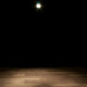 ADJ PAR38EL spotlight on floor