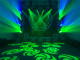 Green swirl pattern gobo lights on stage
