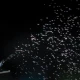Stream of bubbles from machine.