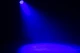 Focus Flex L19 casting a blue spotlight.