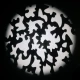 ADJ FS3000LED gobo pattern beam.