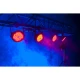 Mega Par Profile EP lights on truss.