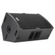 RCF TT 25-A II speaker stage monitor