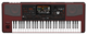 Korg PA1000 61-Key PRO Arranger Light Weight Keyboard (61-key Arranger)