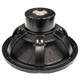 18 Sound 18NLW9601 cone closeup