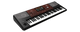 Korg PA700 61-key Arranger Workstation with 370+ Music Styles, 1,700+ Sounds