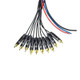 Snake 10RCA-30 ends