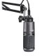 Audio-Technica AT2020USB+PK Streaming/Podcasting Cardioid Condenser Microphone