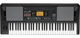Korg EK-50 CSA 61-Key Arranger Keyboard w/ Latin Styles, Mariachi, Banda, Salsa, Cumbia