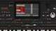 Korg PA1000 61-Key PRO Arranger Light Weight Keyboard + SKB 1SKB-4214W Case
