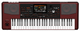 Korg PA1000 61-Key Arranger Portable Keyboard + SKB 3I-4217-TKBD Case (OPEN BOX)