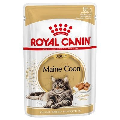 Alimento húmedo para Maine Coon 12 x 85 g