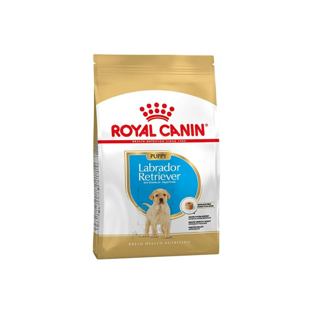 Labrador Retriever Puppy alimento para cachorros