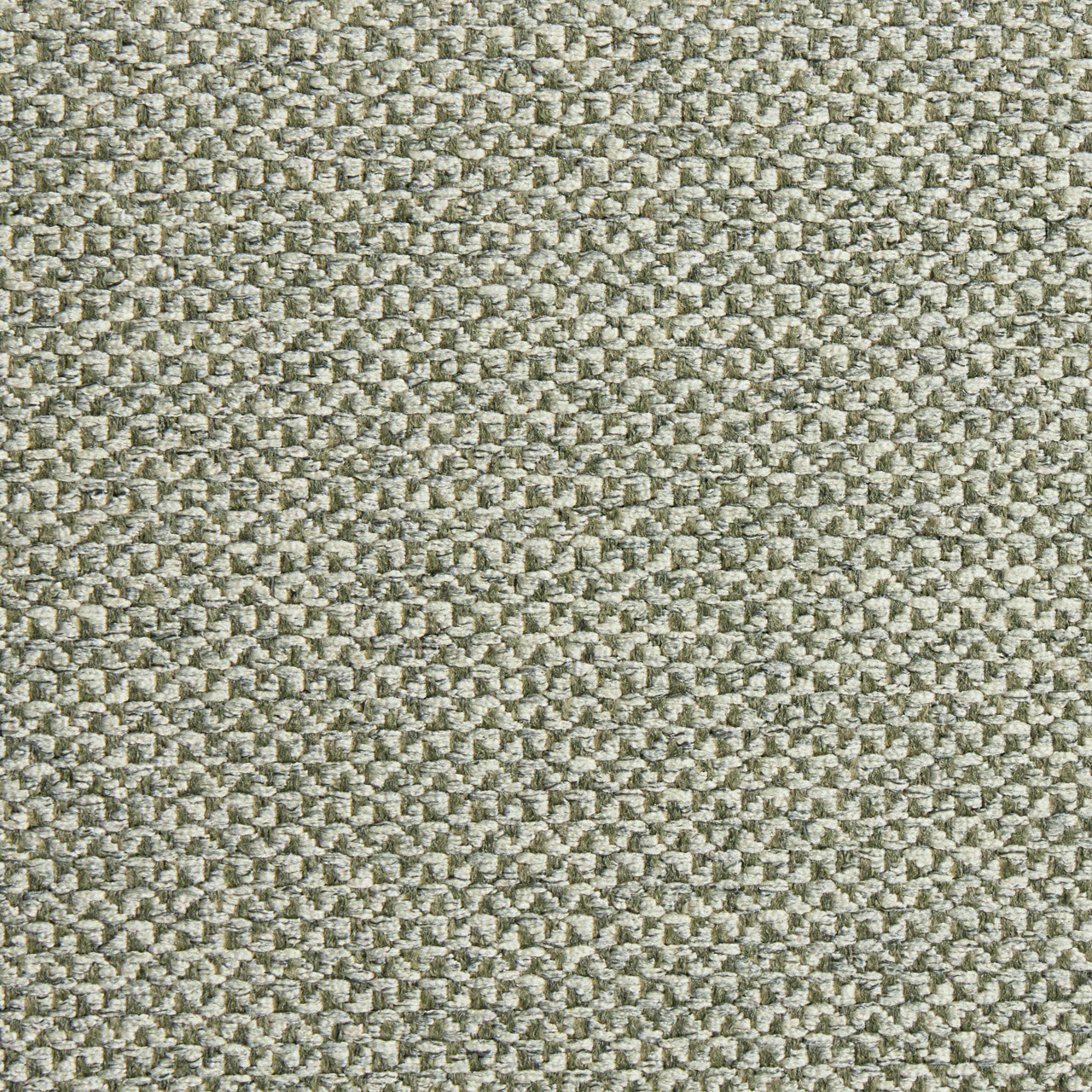 Image 19