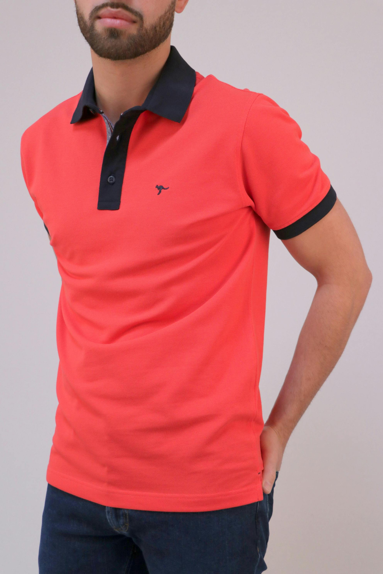 Imagen 1