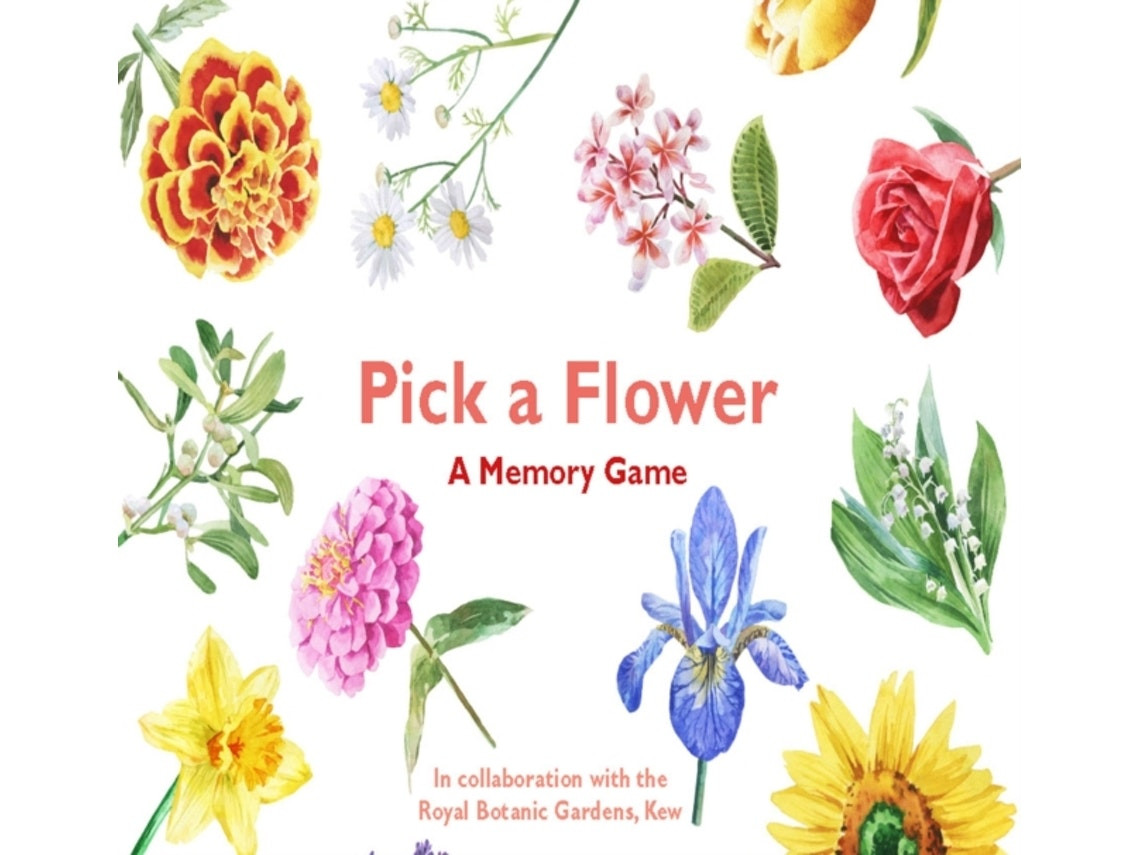 Pick a Flower de Anna Day y Gina Fullerlove (Inglés)