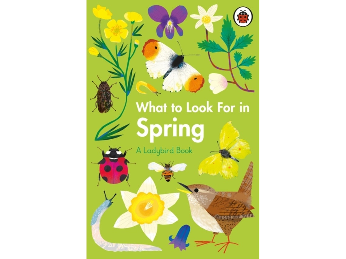 What to Look for in Spring de Elizabeth Jenner (Inglés)