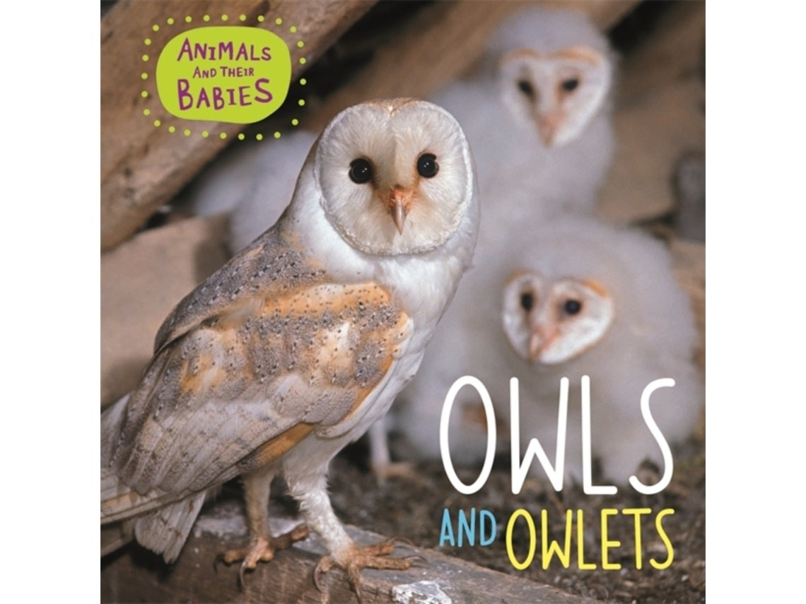 Animals and Their Babies by Annabelle Lynch (English)