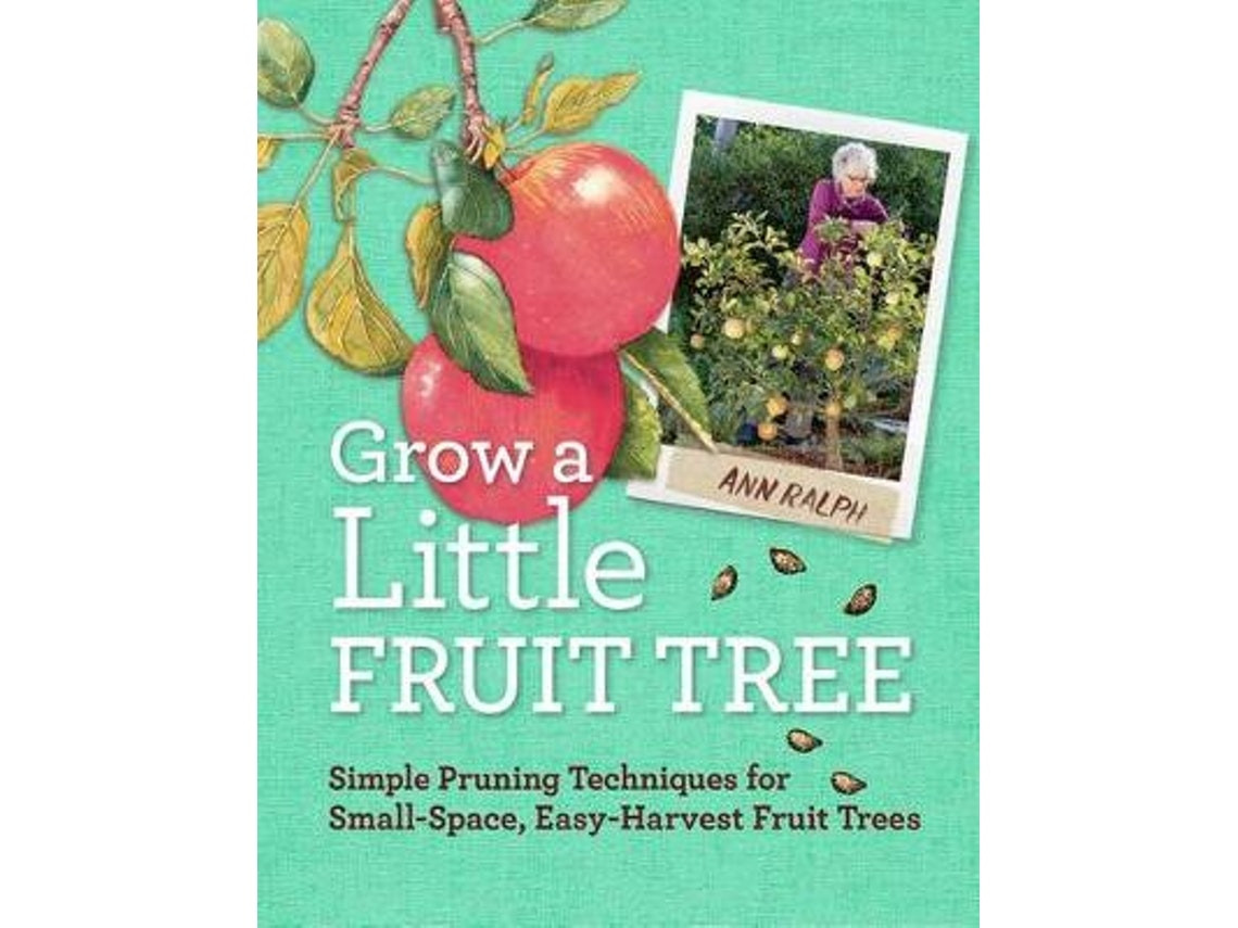 Grow a Little Fruit Tree de Anna Ralph (Inglés)