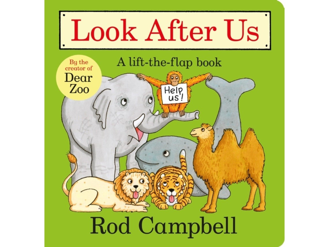 Imagen 1