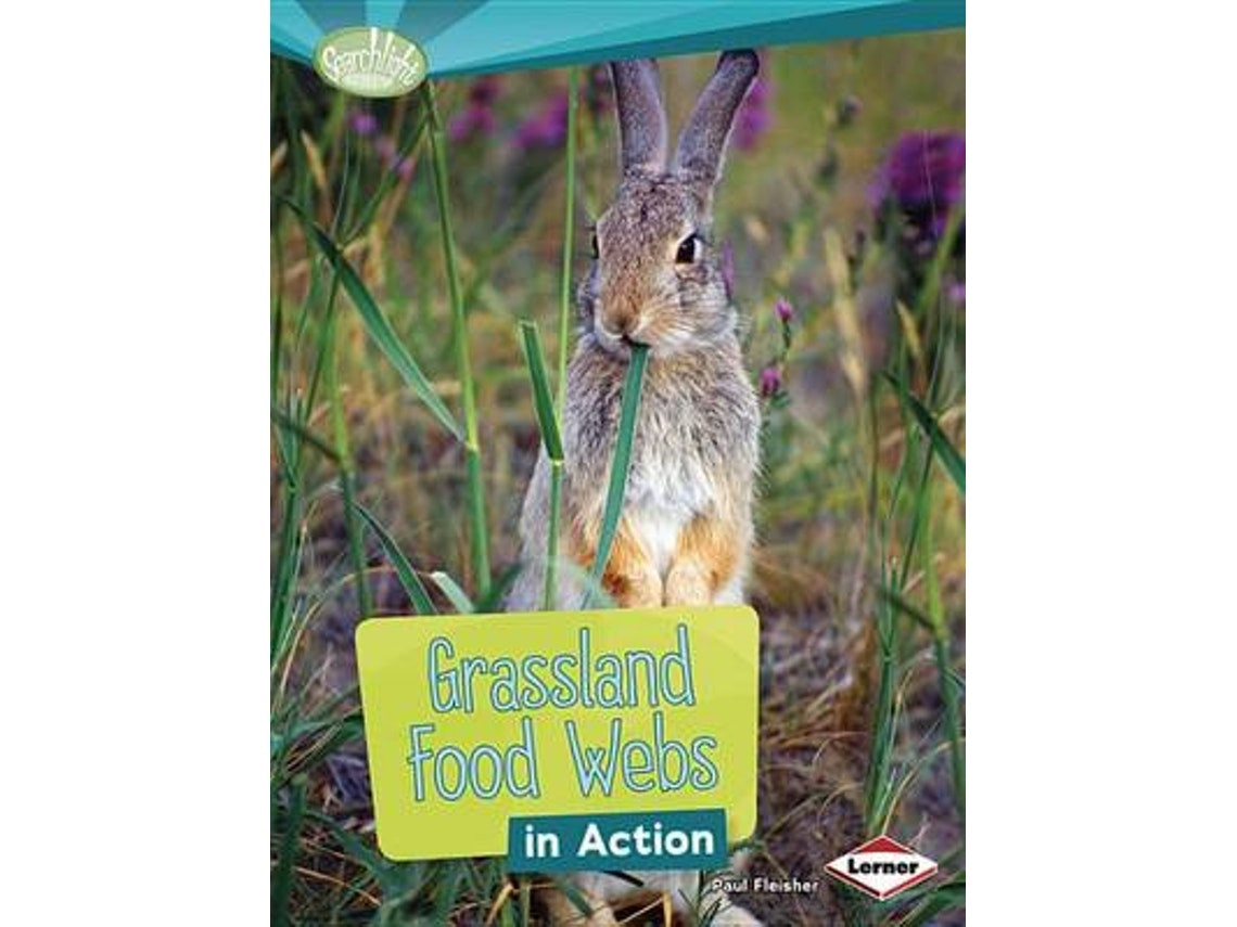 Grassland Food Webs in Action de Paul Fleischer (Inglés)