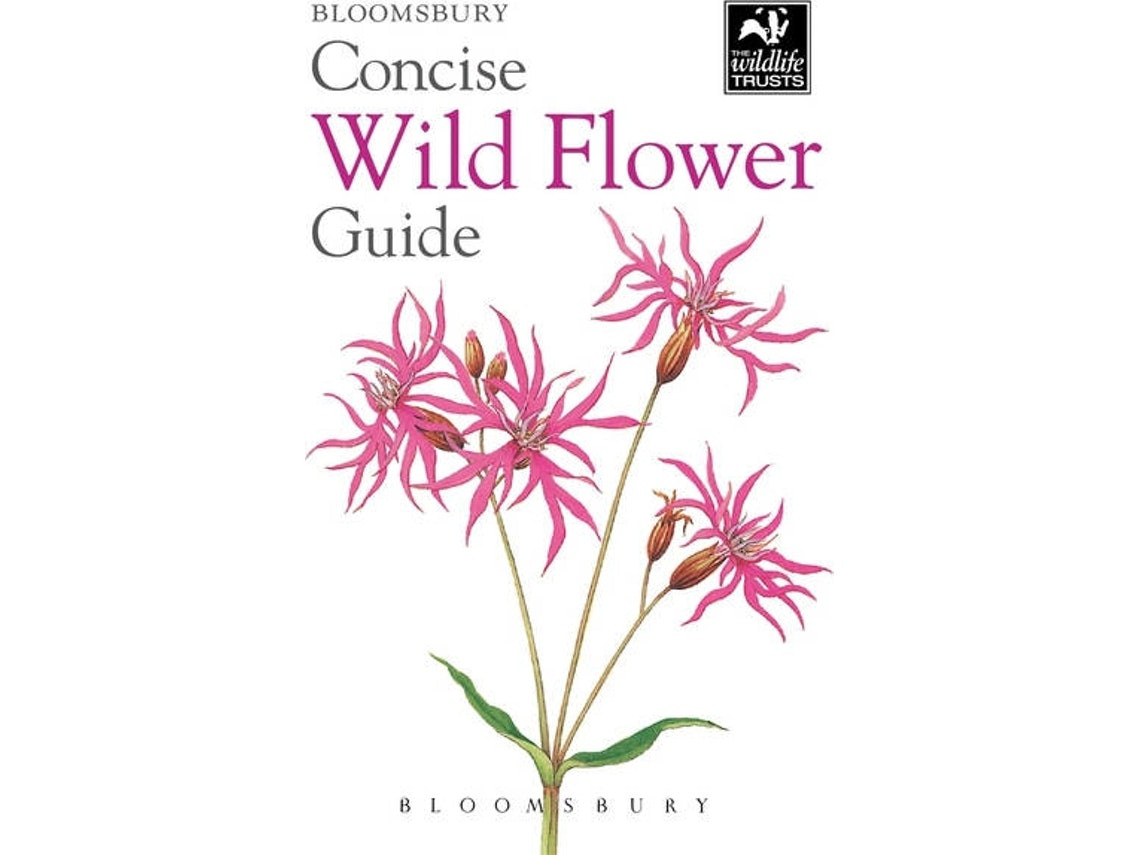Concise Wild Flower Guide de Bloomsbury Publishing (Inglés)