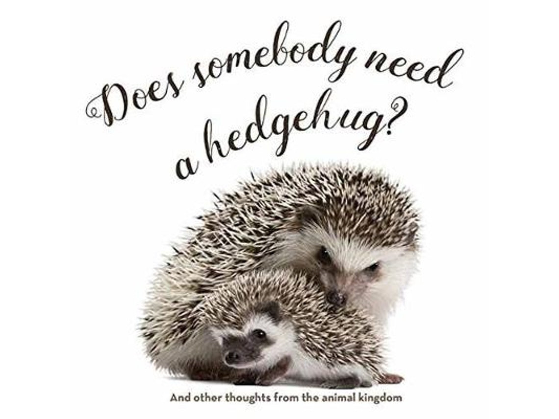 Does Somebody Need a Hedgehog? de Smith Gibbs (Inglés)