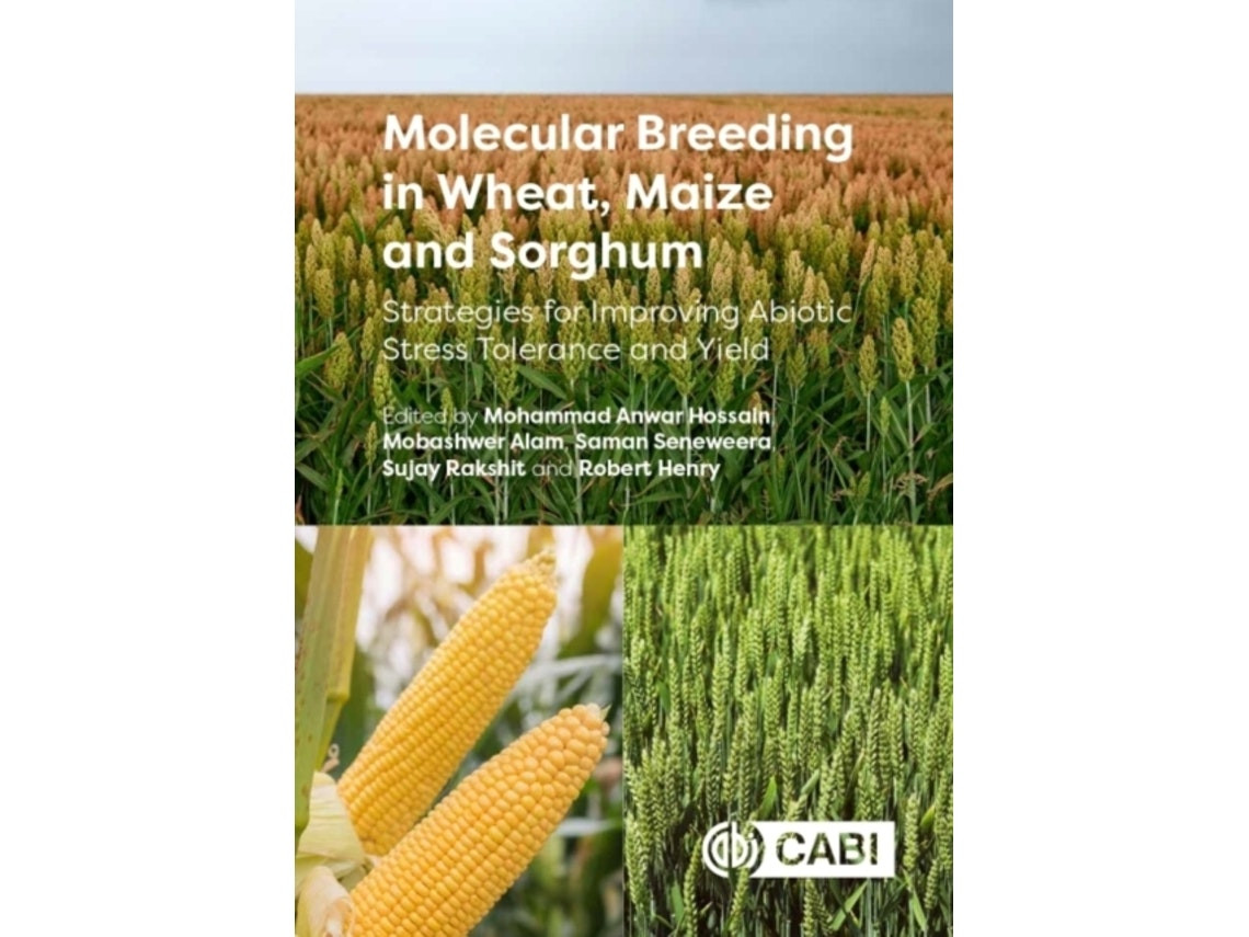 Molecular Breeding in Wheat, Maize and Sorghum de Mohammad Anwar Hossain (Inglés)