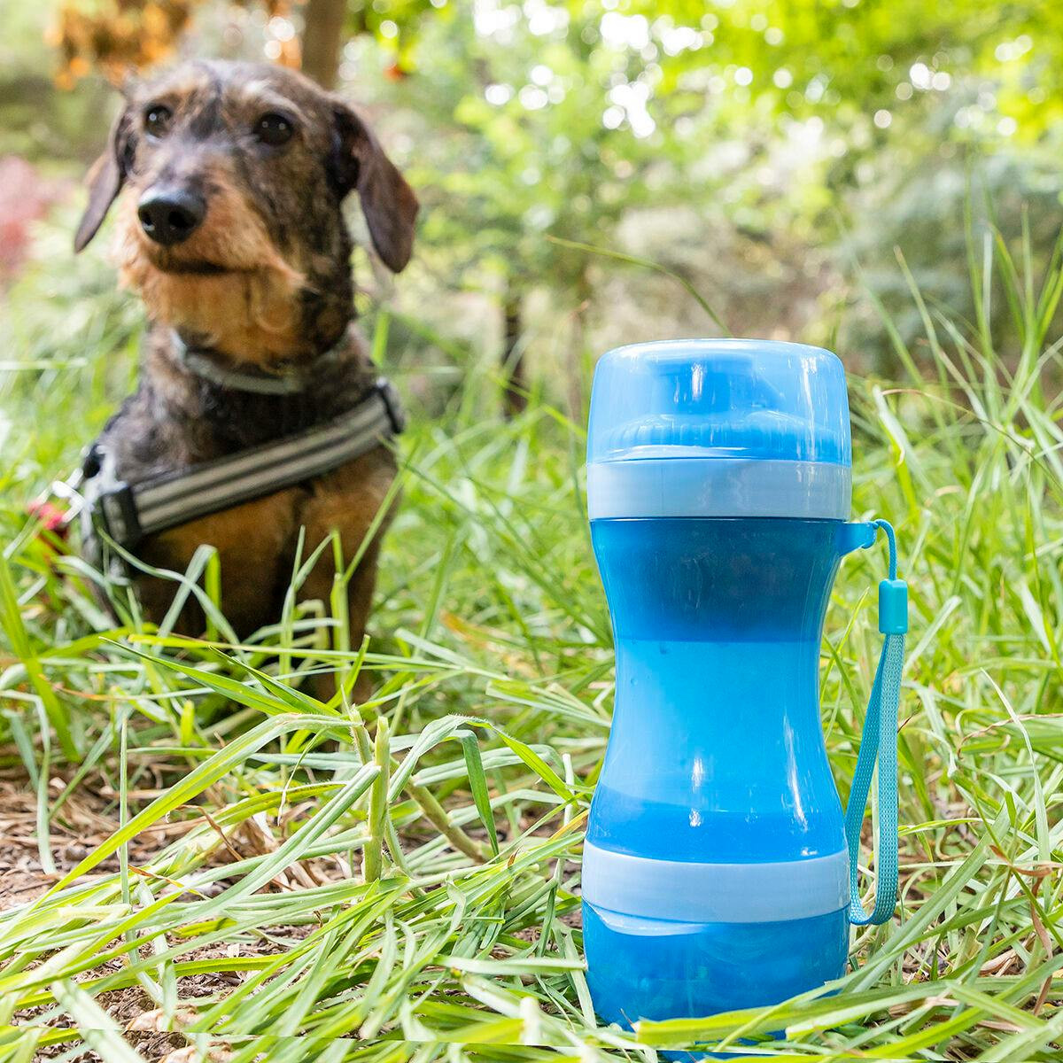 Garrafa com Depósito de Água e Comida para Animais de Estimação 2 em 1 Pettap