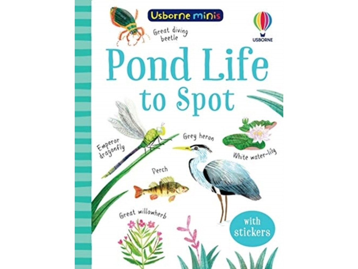 Pond Life to Spot de Kate Nolan (Inglés)