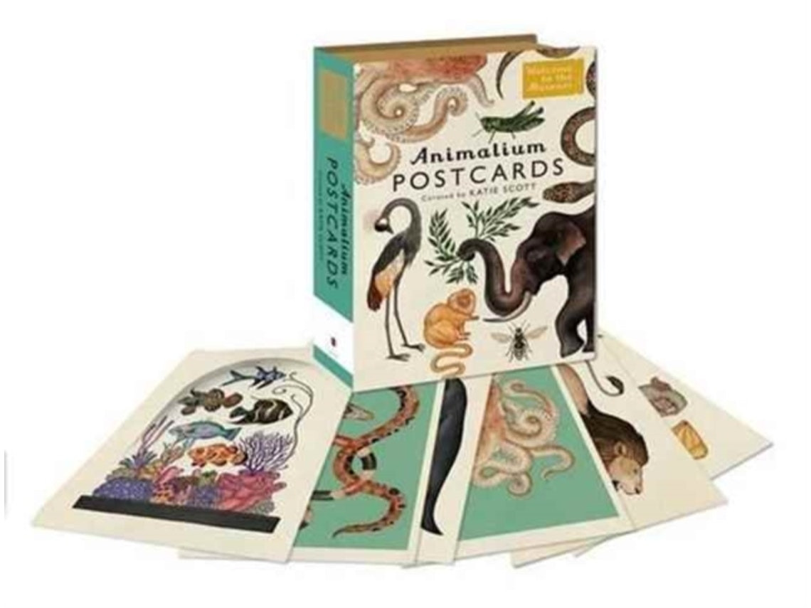 Animalium Postcards by Jenny Broom (English)