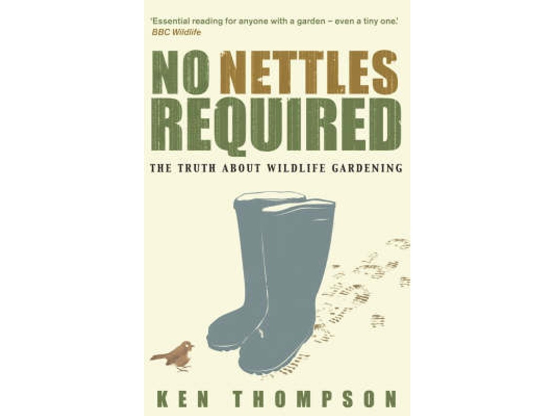 Imagen 1