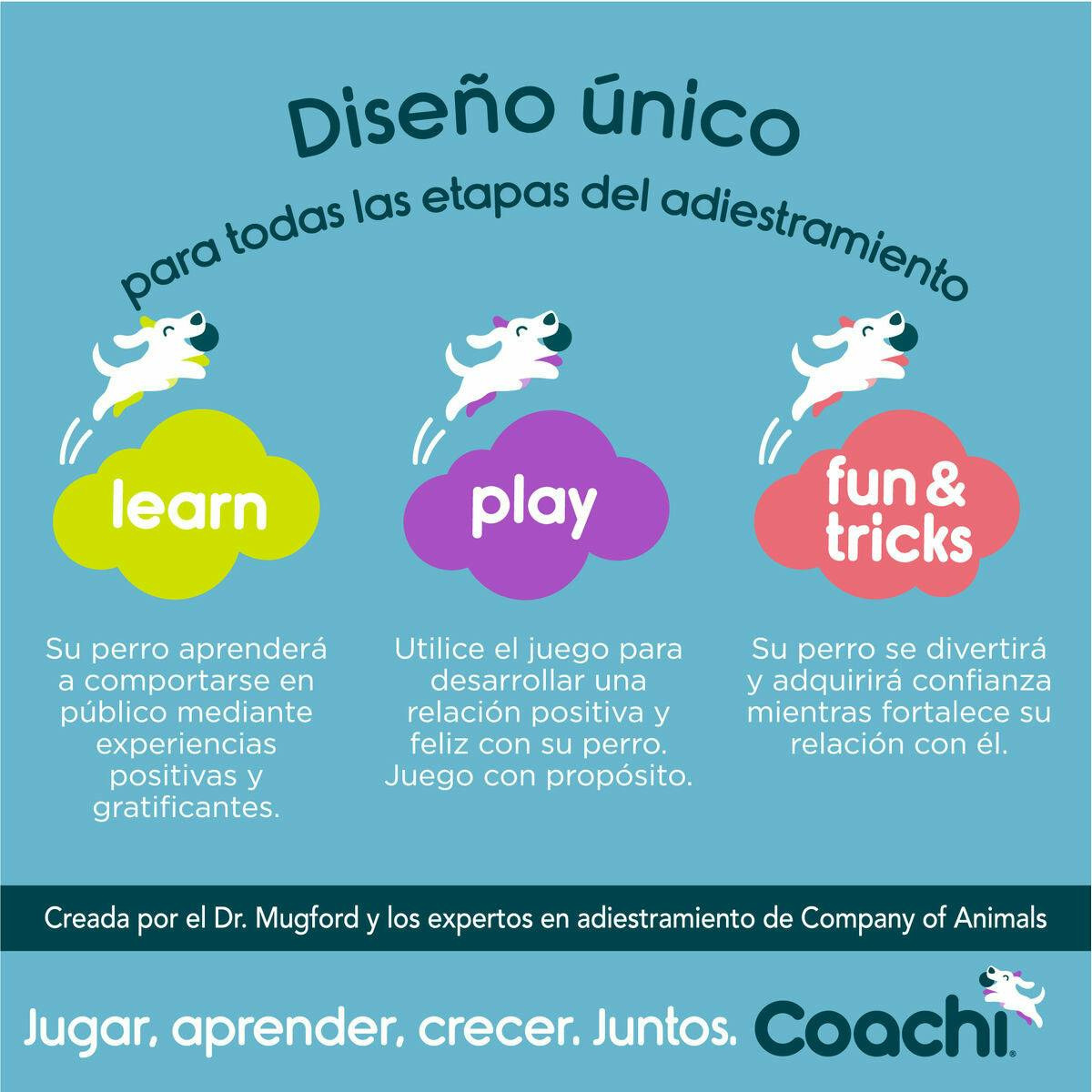 Imagen 10