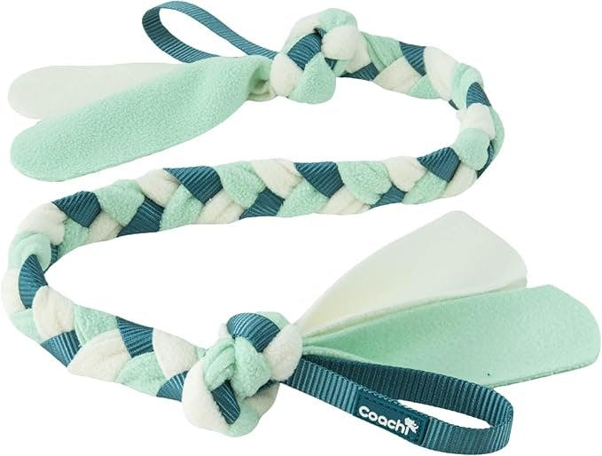Coachi - Brinquedo para Cães