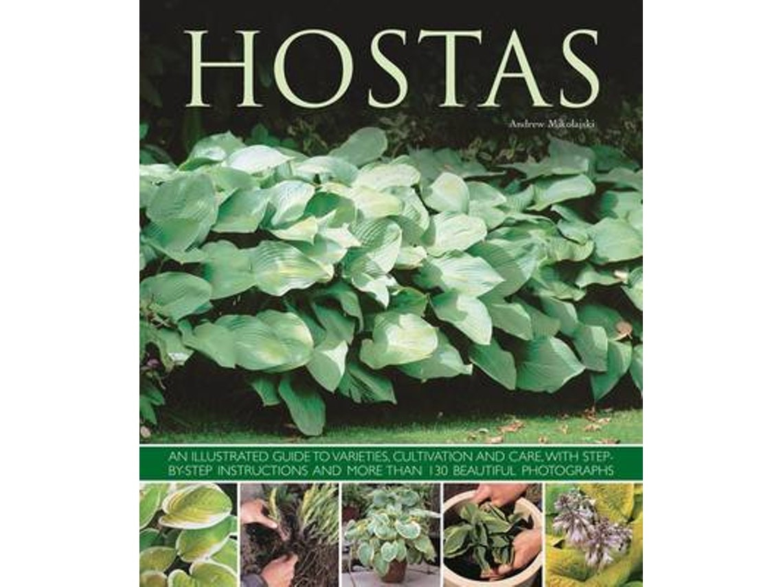 Hostas de Andrew Mikolajski (Inglés)